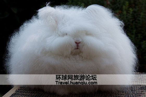 ) parse begin--> 揭秘亚马逊伟哥 巴西雨林的阿萨伊果实 2011-01-04 09:34 加拿大特色的冰面高速(组图) 2011-01-04 09:12 见过这么美丽的沙漠吗(组图) 2011-01-04 09:12 非洲街头的时尚女孩(组图) 2011-01-04 09:12 喀麦隆新娘油抹全身 儿子可以娶妈为妻 2011-01-04 08:56 假的真不了 全球十大冒牌首府(组图) 2011-01-04 08:56 爱丽斯泉上空 澳北领地的热气球之旅 2010-12-28 09:09