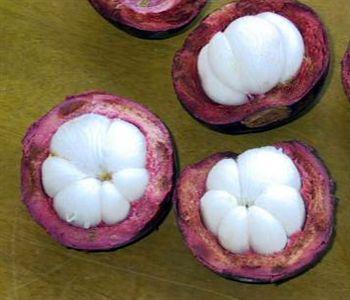 山竹怎么吃 山竹的饮食禁忌-饮食禁忌,果肉,果