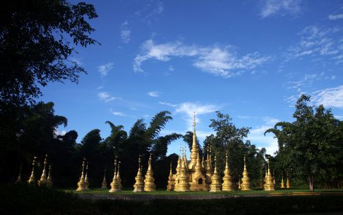跟着候鸟去猫冬 西双版纳温度正好-候鸟,曼景
