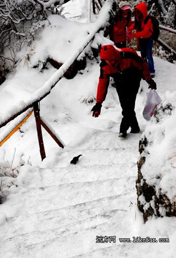 窗含西岭千秋雪:四川西岭雪山自助游攻略