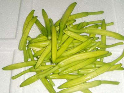 春季要当心五种毒菜(组图)-资料图,日光皮炎,