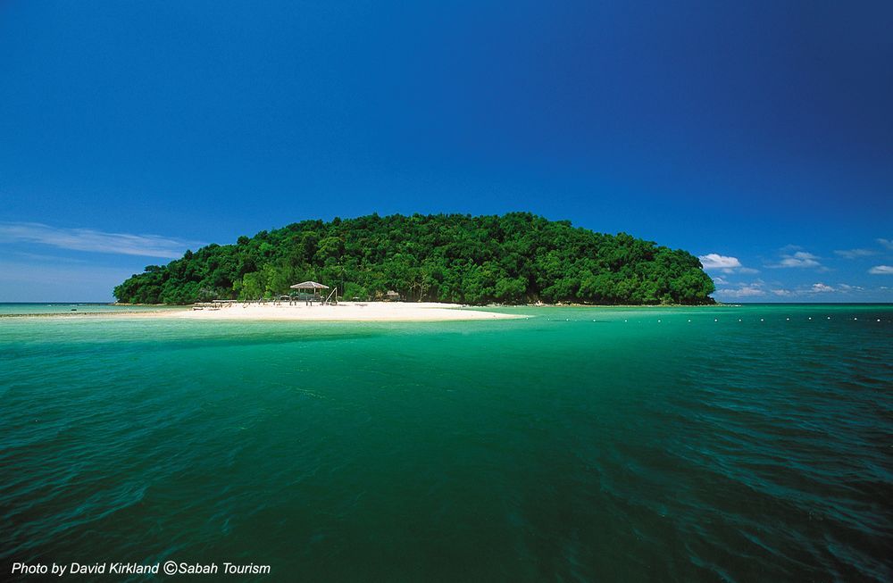 马来西亚优美海底风光(组图)