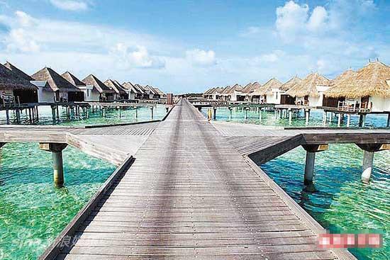 林熙蕾马尔代夫浪漫婚礼(组图)-马尔代夫,林熙