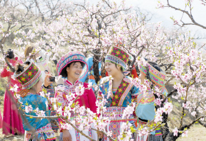 人面桃花相映红