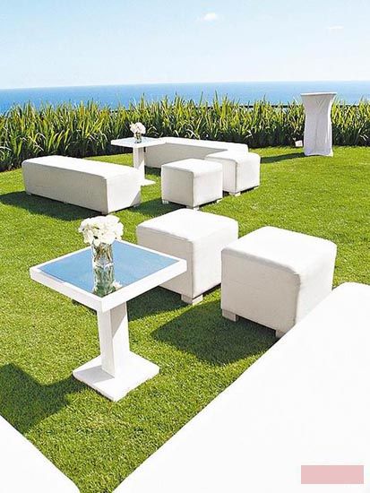 �����ֳ�