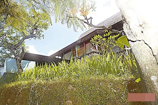 ���﷿���