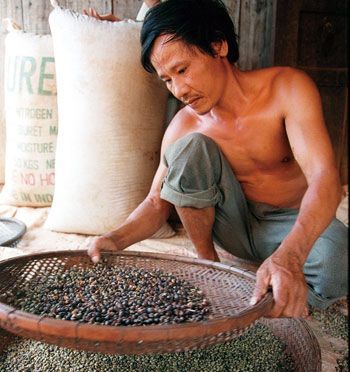 曾经的法属殖民地 那阵阵咖啡香-越南,法国,咖