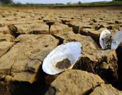5月1日起慈溪社保月缴费基数调整-缴费基数,月