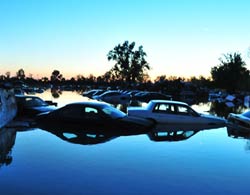 余姚滨海新城:笑立潮头听涛声-余姚,滨海新城,