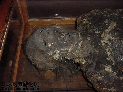 探索神秘的木乃伊世界(组图)-沼泽木乃伊,麦克安德鲁,哈特谢普苏特,1950年,世界遗产保护,腹绞痛-中国宁波网-旅游