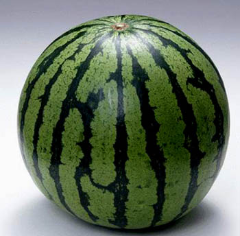 吃西瓜五大类人群(组图)-吃西瓜,肾功能不全,口