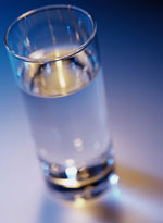 食物(图)-碳水化合物,脑灰质,食物,蛋白质,菊糖,