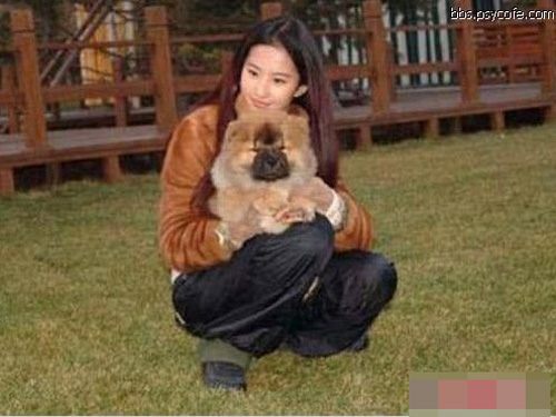 刘亦菲浴室私房照-刘亦菲,浴室,头发,味十足,生