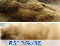 余姚市区单行线路段违规行为频发-单行线,交通