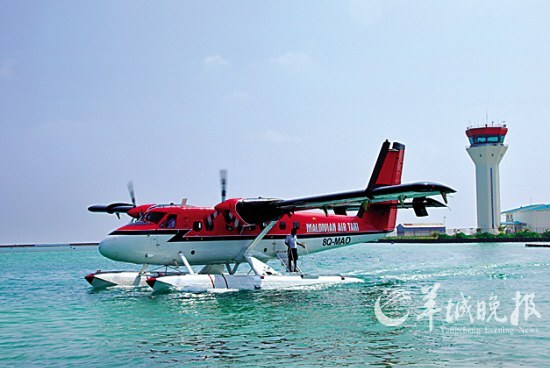2153578_863815.jpg