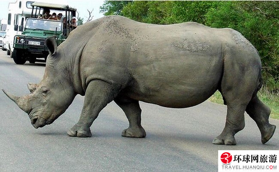 什么是动物保护 2174615_146672.jpg