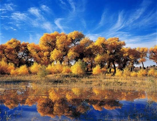 流动的色彩 大漠黄沙与小桥流水的浪漫自驾-M