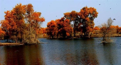 流动的色彩 大漠黄沙与小桥流水的浪漫自驾-M
