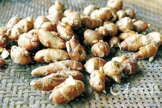 沙姜造美食-美食,湛江鸡,凤凰,肾脏,姜辣素,古铜色肌肤-中国宁波网-美食