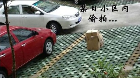 网络惊现神奇丝袜女司机-CS,穿丝袜,女司机