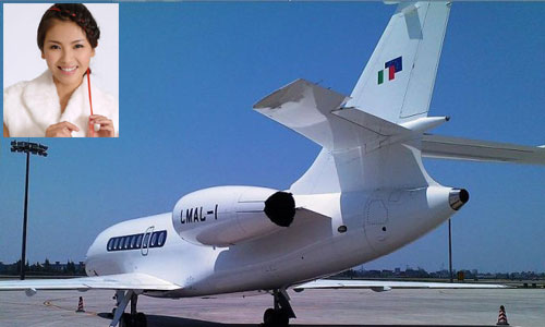 豪门媳妇刘涛私人飞机