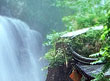 http://tv.cnnb.com.cn/system/2011/09/08/007070259.shtml