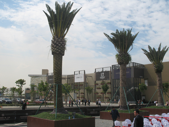 赵薇清新亮相 开启宁波奥特莱斯新纪元--中国宁