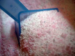 洗衣粉使用七大误区(组图)-蛋白变性,资料图,消