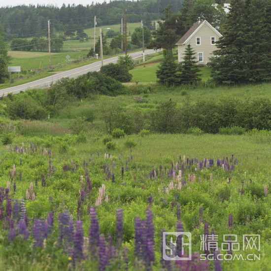 十一出游必备10种物品 准备好了吗?(组图)-出游