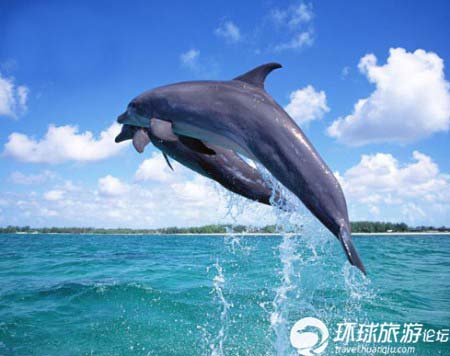 关岛:离中国最近的美国领土-关岛,美国领土,美