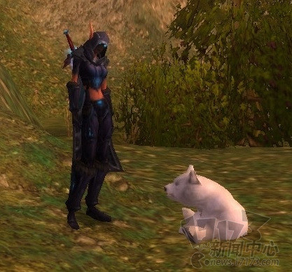 界中的珍稀萌兽-魔兽世界,PVE,小宠物,暴雪公