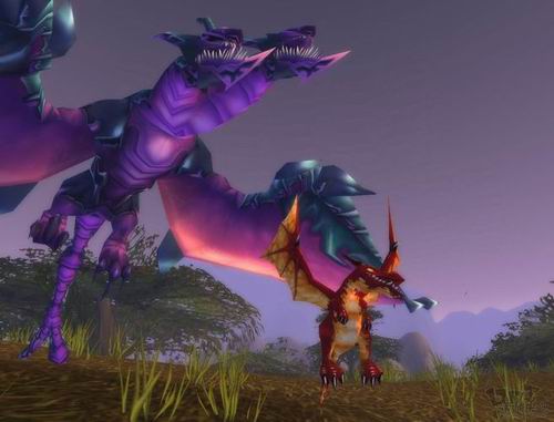 花钱买宠弱爆了!盘点魔兽世界中的珍稀萌兽-魔