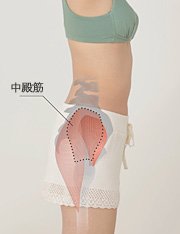 深层激活食品拯救笨重的下半身(肌肉)-肌肉组2012组图展会图片