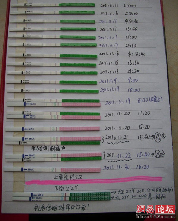 于升级+附排卵记录