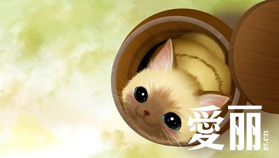 两个女人算计了个花花公子-谭菲,福记,爱情,距