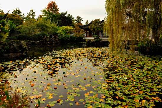 多情加拿大 到温哥华必去的两个地方(组图)-盖
