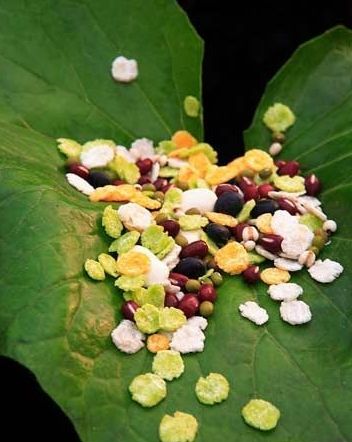 春季长高黄金期 给孩子吃什么长更快-烂嘴角,捏