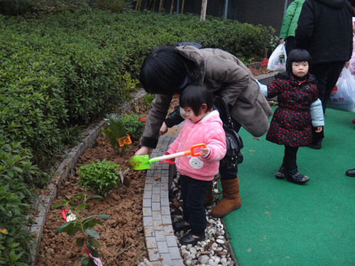 感受植树的快乐 金地幼儿园开展亲子植树活动