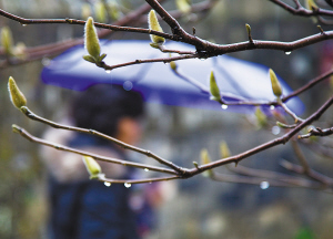 今天春分节气 宁波的气温还是忽冷忽热