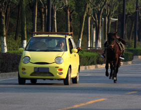 江苏南通男子驾车在公路上遛马
