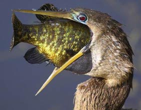 宁波752万元双色球大奖得主现身 系一平头男子