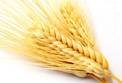 样吃最养生-浮小麦,服用,养生,慢性腹泻,<em>自汗</em>,高