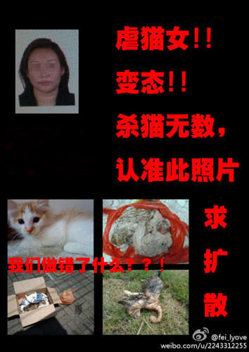 上海<em>虐猫女</em>周颖资料<em>照片</em>曝光 上海<em>虐猫女</em>触犯