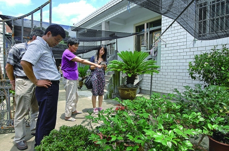 胜自然村家家户户拥有花园洋房-庭院绿化,花