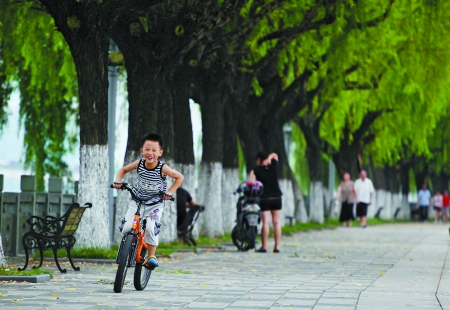 天气退烧-7月15日,天气,宁波