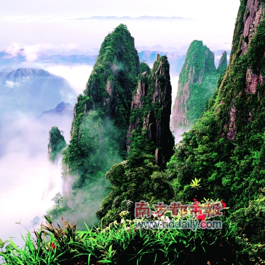 边学-建筑,大白鲨,莽山国家森林公园,俄罗斯伏