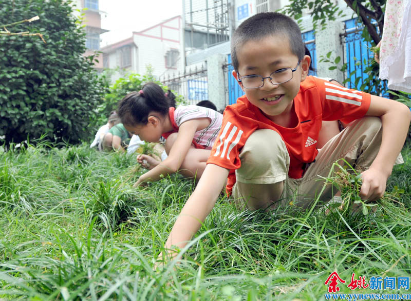 我是环保小卫士