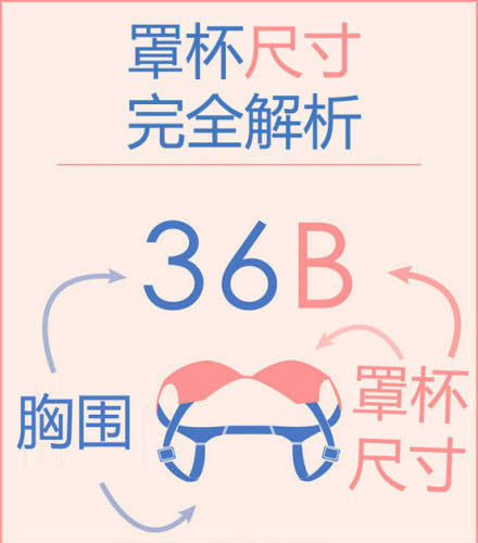 都市丽人领衔首发《我国女人内衣白皮书》辅导女人科学挑选内衣