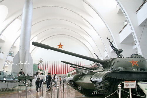 2734419_311014.jpg