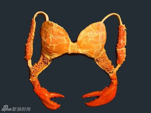 让人哭笑不得的疯狂<em>胸罩</em>(组图)-仙人掌,<em>胸罩</em>,甜